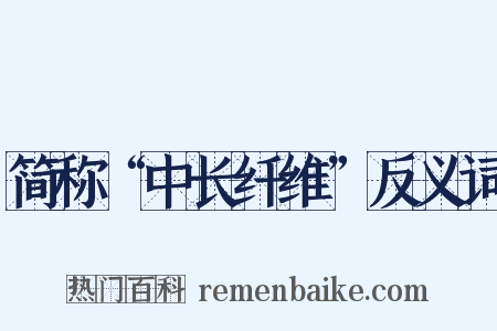 简称“中长纤维”反义词是什么意思的图片